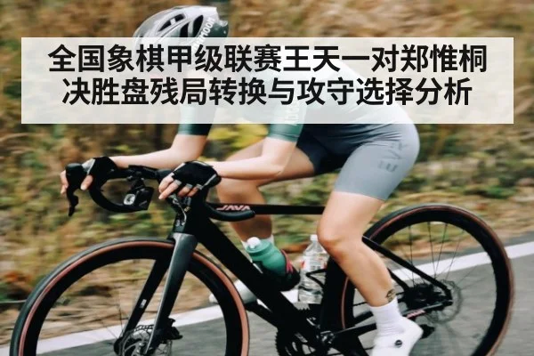 全国象棋甲级联赛王天一对郑惟桐决胜盘残局转换与攻守选择分析